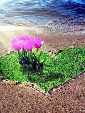 13418981_1214518828592410_6968143405548763513_n